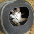 cat cave from felt, 100% wool,  trojala brand from finland 